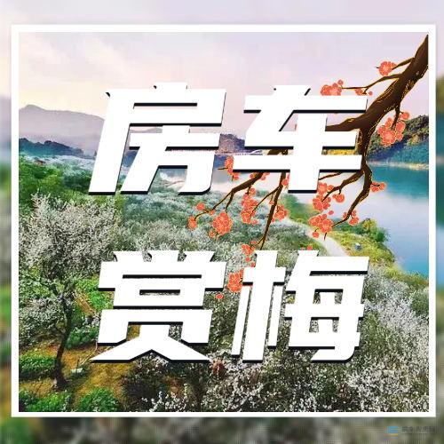 潮惠玩-全国首家高端出行工具租赁平台