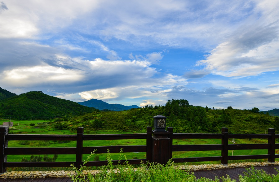 5d5084d4-3031-49e4-88ca-307aa475d711.png